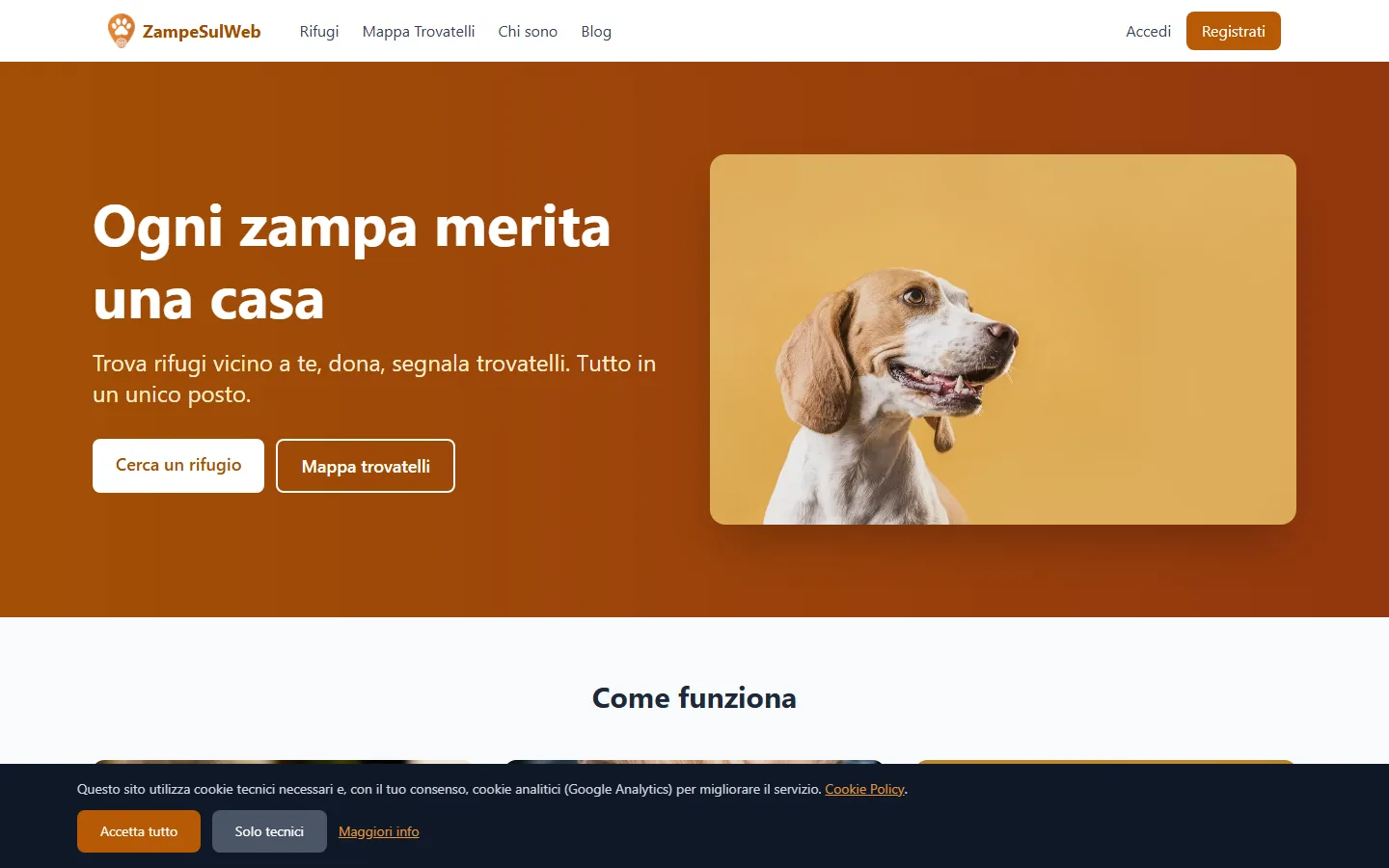 Anteprima del progetto ZampeSulWeb