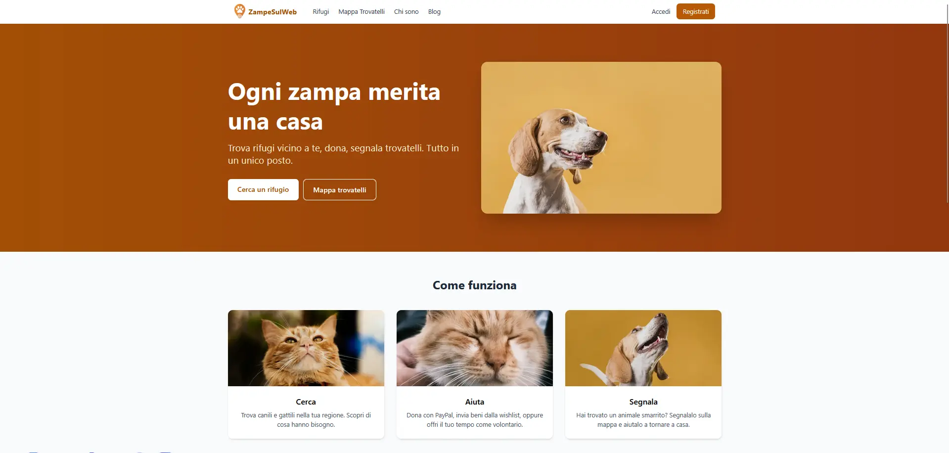 ZampeSulWeb